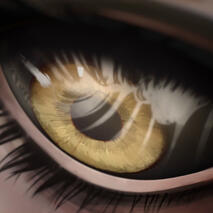 Everywhere, and Everyone Icon